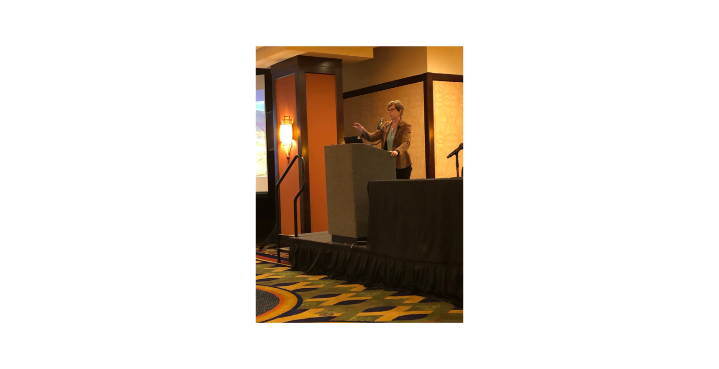 Kathy Yelick talking at MDC10