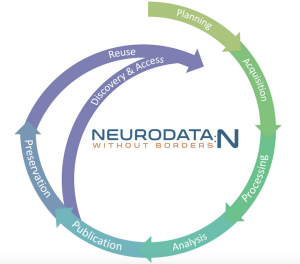 Neurodata Arrow