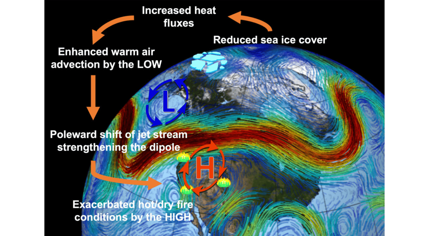 A color schematic diagram of the Earth showing the connection between Arctic sea-ice loss and increasing wildfires.