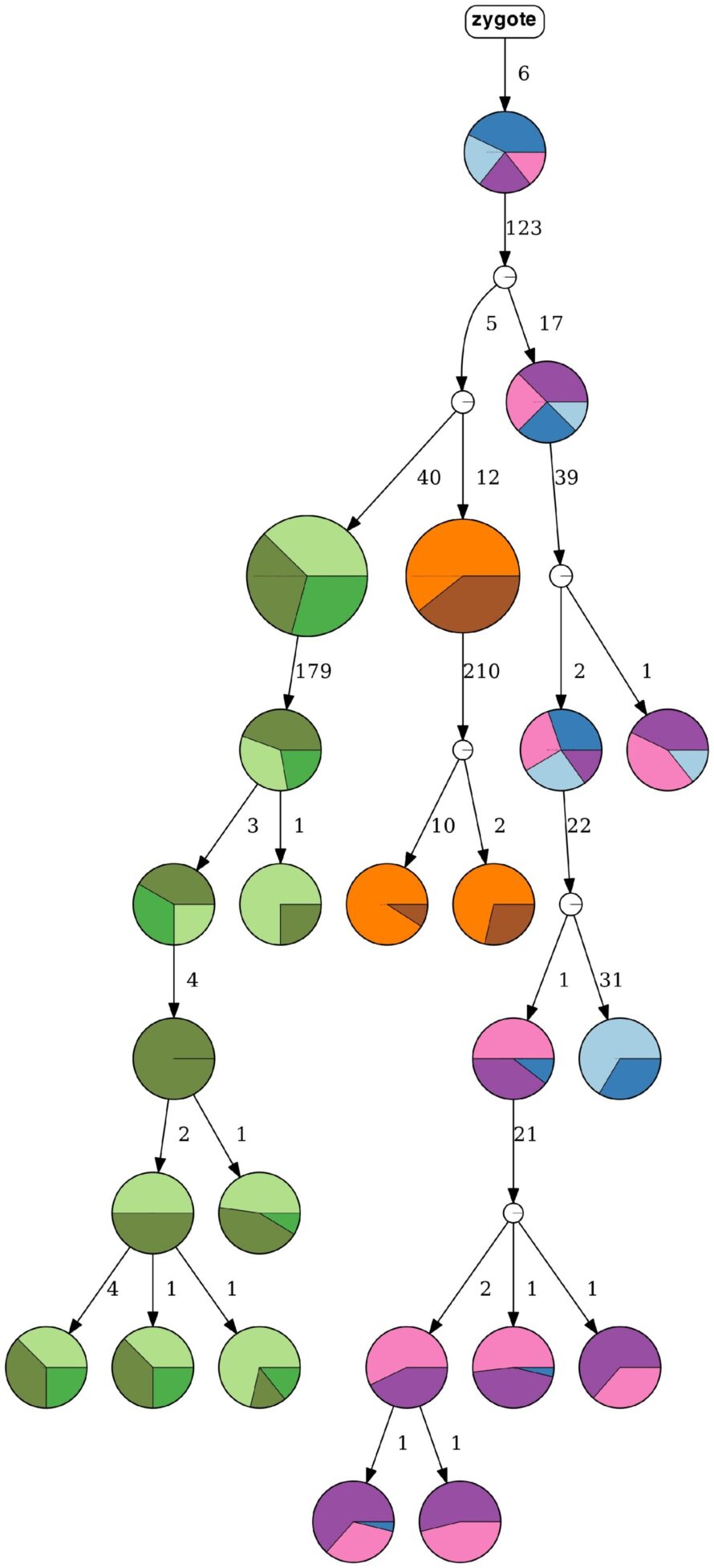 Huntress diagram in tree format